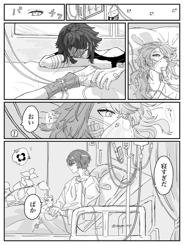 どんたこ