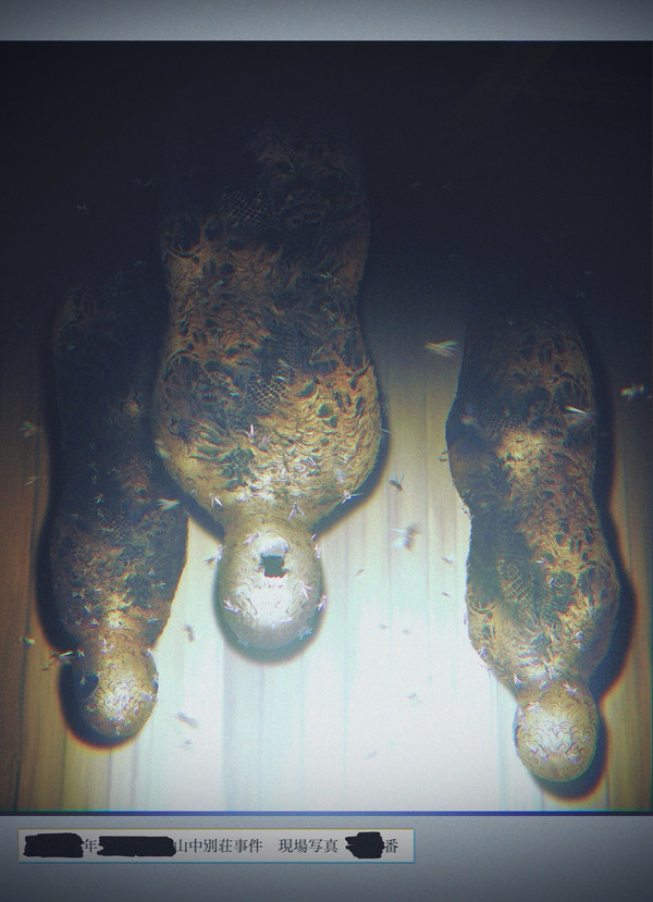 ████山中別荘事件
