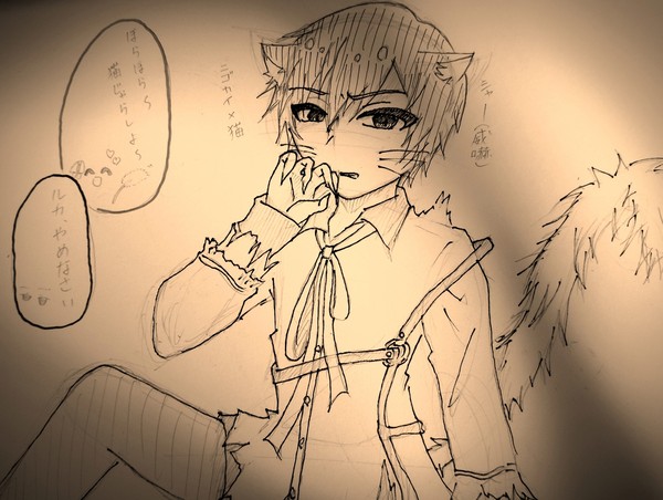 ニゴカイ🐱