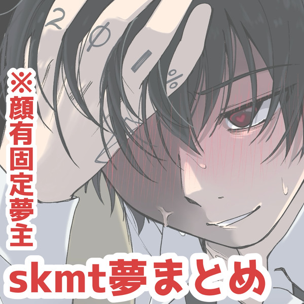 skmt夢まとめ