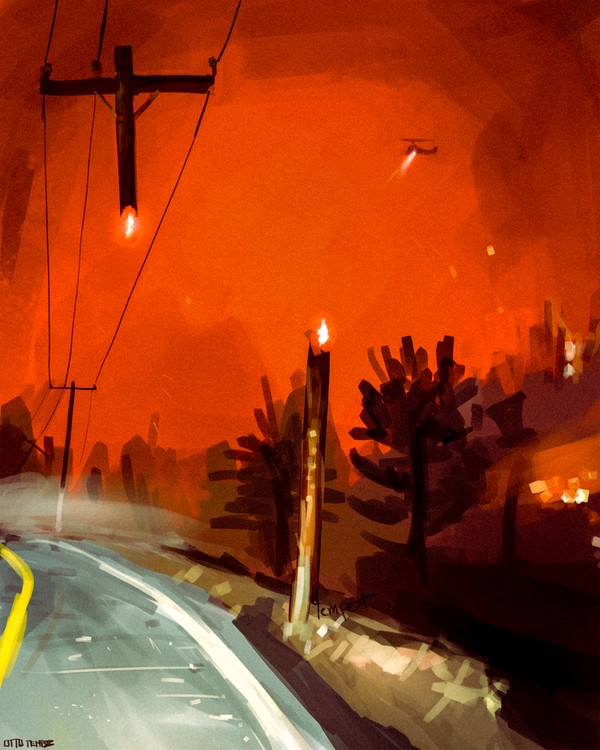 Forest fire - 1/1