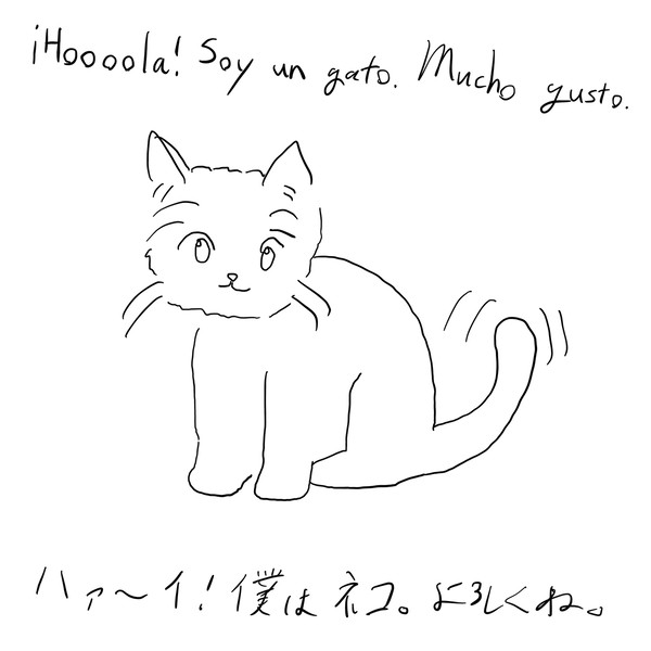 gato