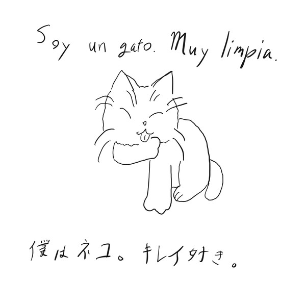 gato02