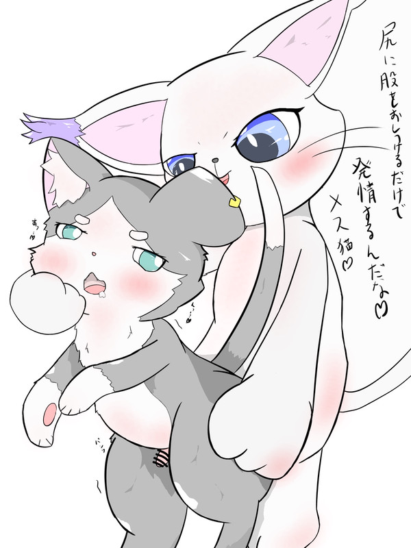 よわよわパックはお尻を突き上げられると発情する