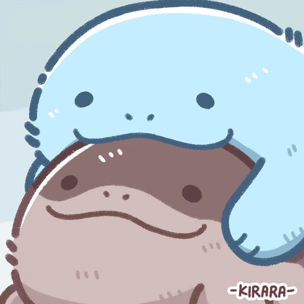 ヌオーとドオー