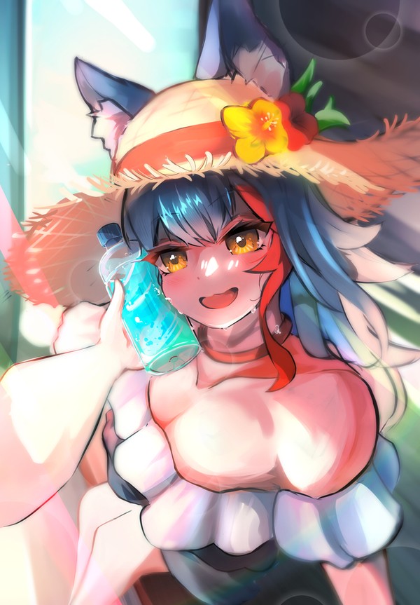 A break for wolf and