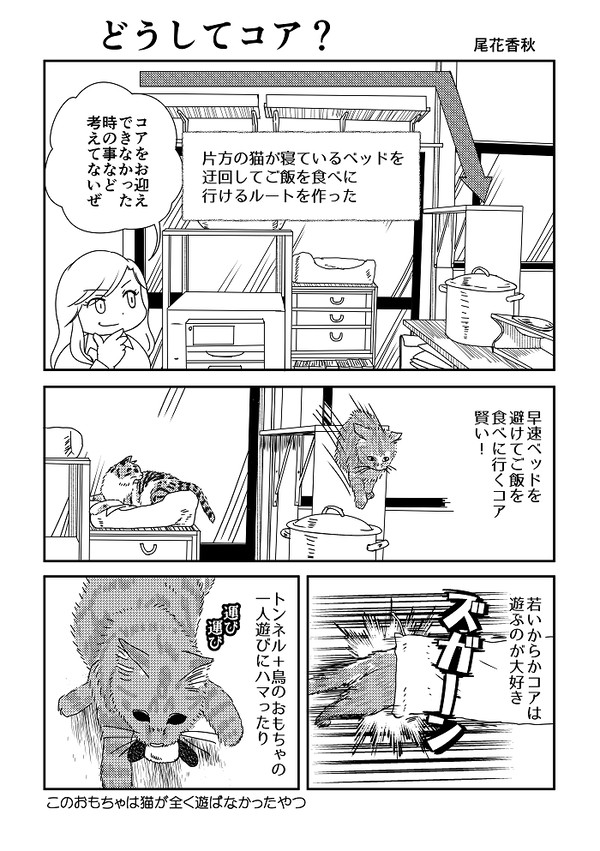 どうしてコア?