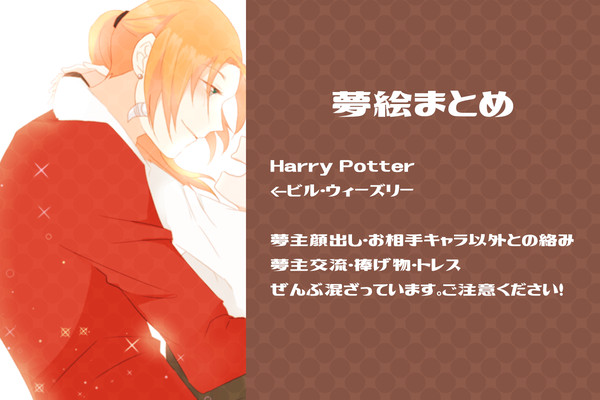 H/P夢まとめ
