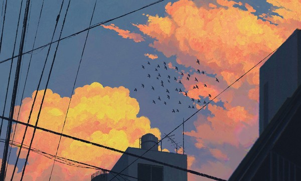 Sky - 1/1