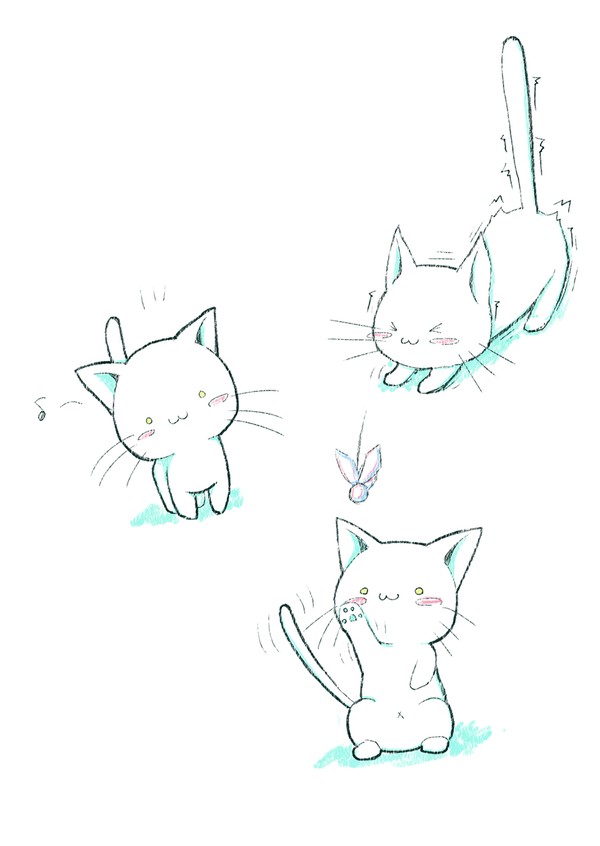 ネコー