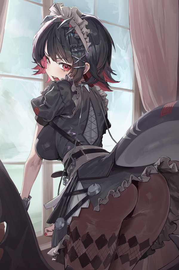 🦈💢💢💢