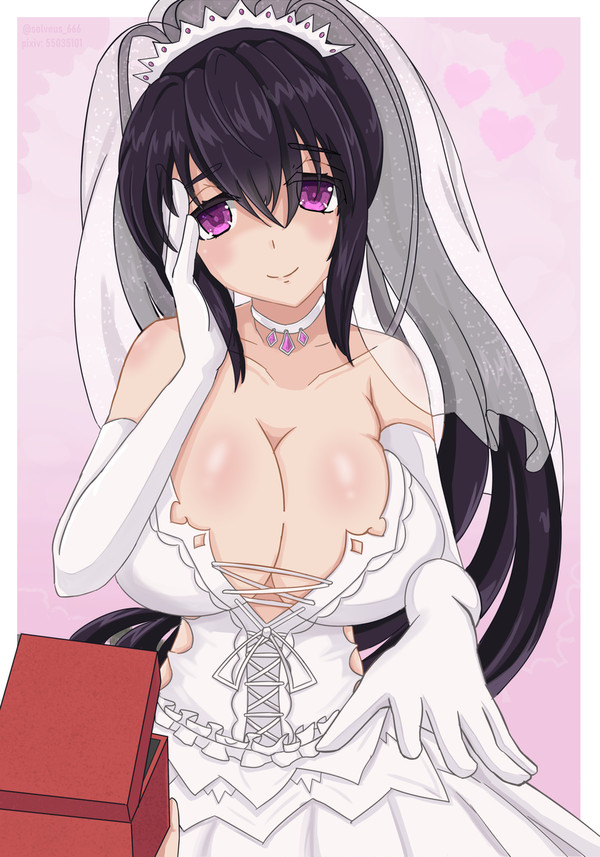 Akeno Himejima bride v2