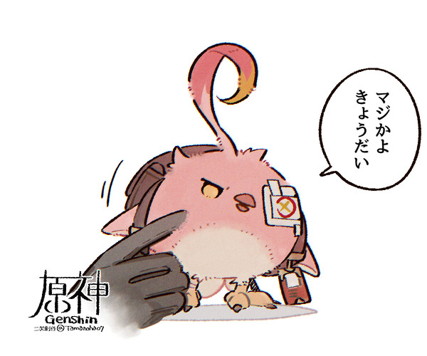 カクークの詰合