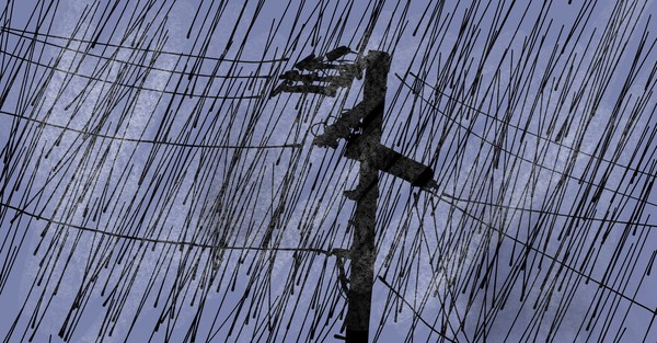 雨