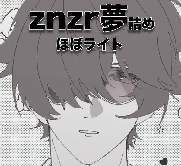 znzr夢詰め