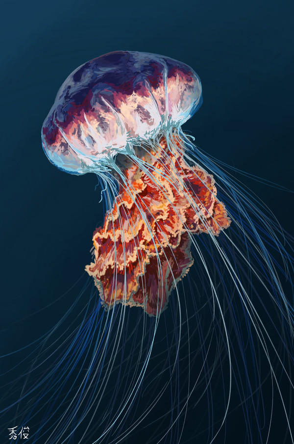 Mesmerizing Trawl