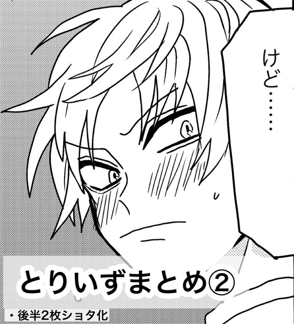 とりいずまとめ②