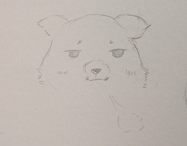 ドヤりながらやれやれみたいな顔してる犬