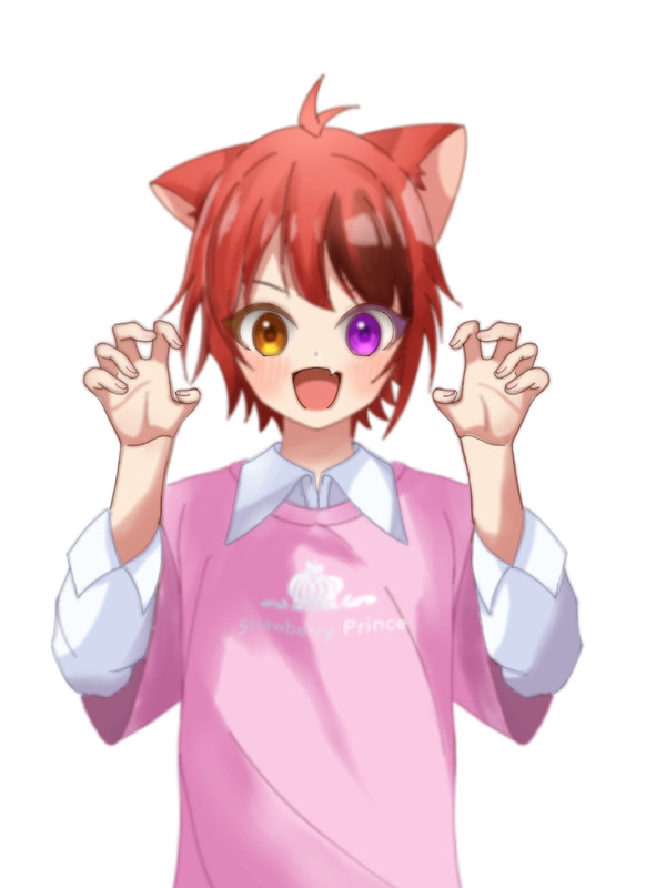 莉犬くん セブンコラボの服