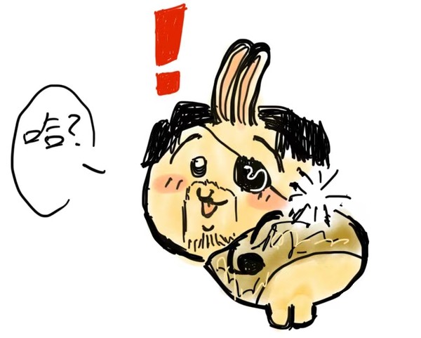 jk水手服愛好者出現