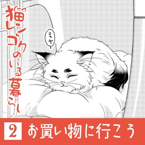猫レンゴクのいる暮らし)お買い物に行こう