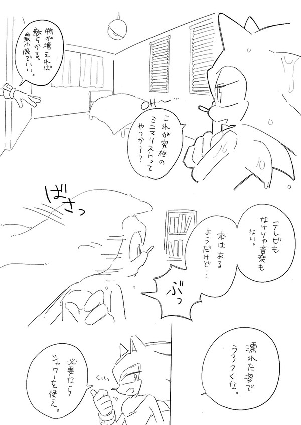 雨に降られたソニックがシャドウの部屋に行く話(修正)