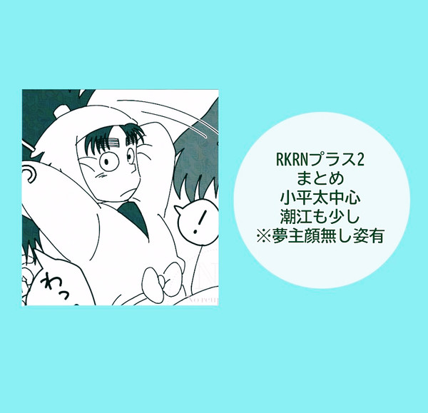 RKRNプラスlog②