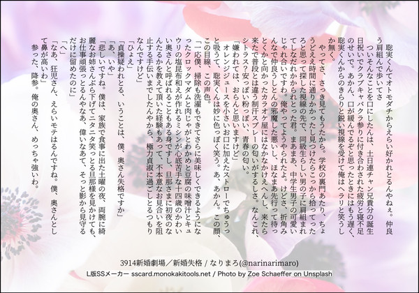 3914新婚劇場/新婚失格
