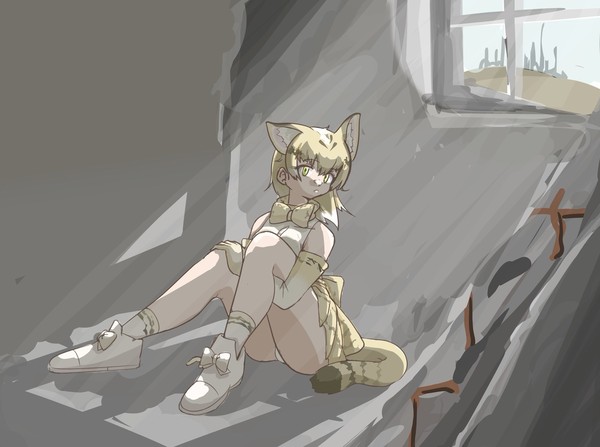 スナネコ