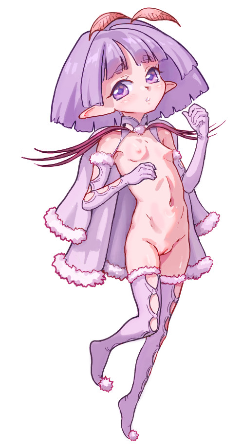 蛾