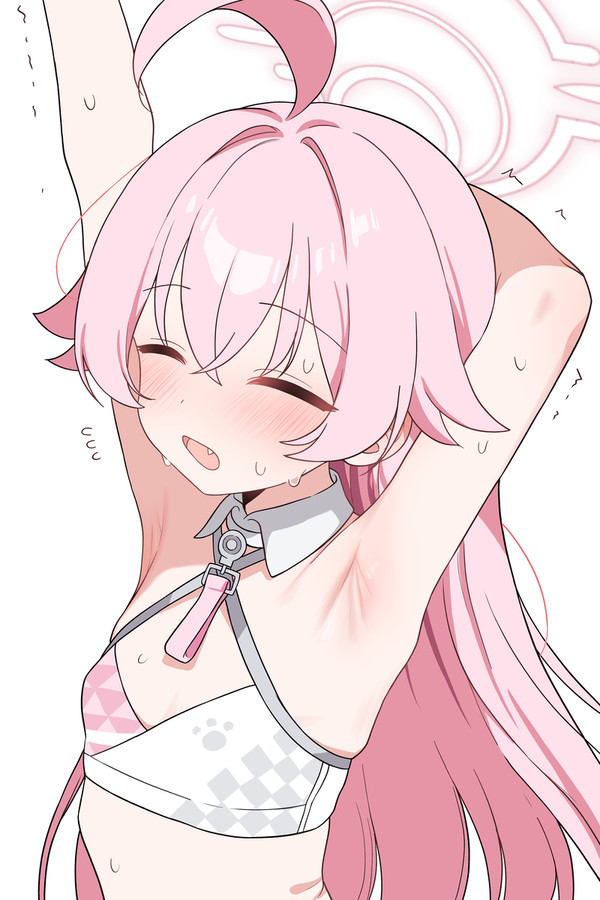 小鳥遊ホシノ(チアガール)