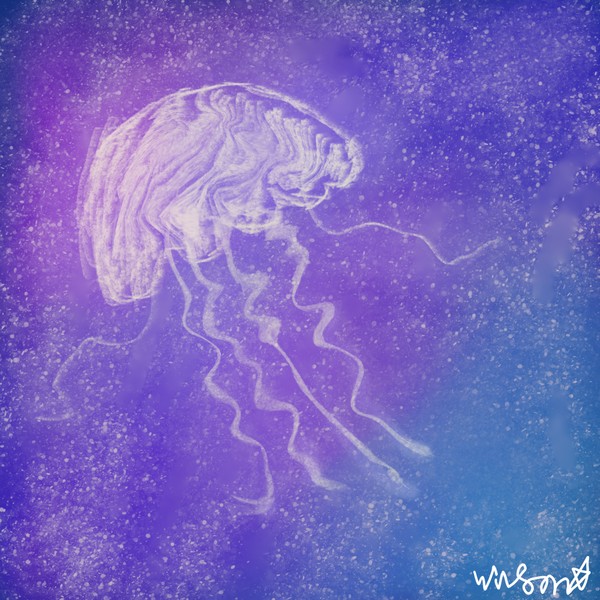 jellyfish