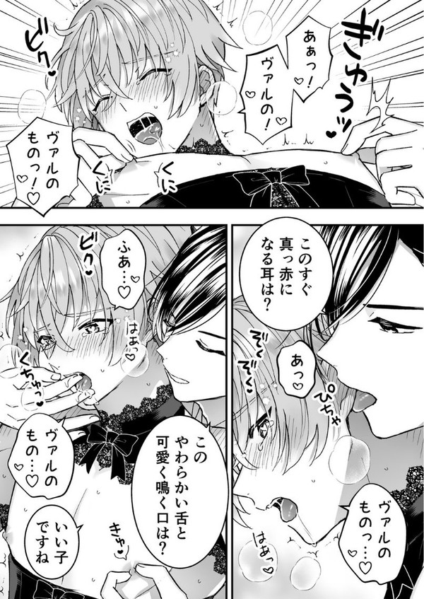 【J庭新刊】男騎士くっころ/宰相ルート完結!