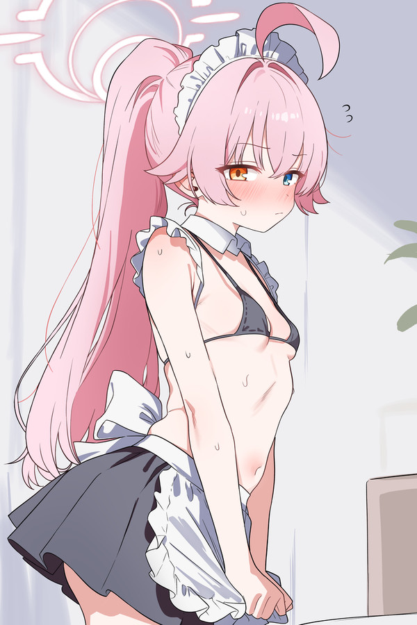 小鳥遊ホシノ