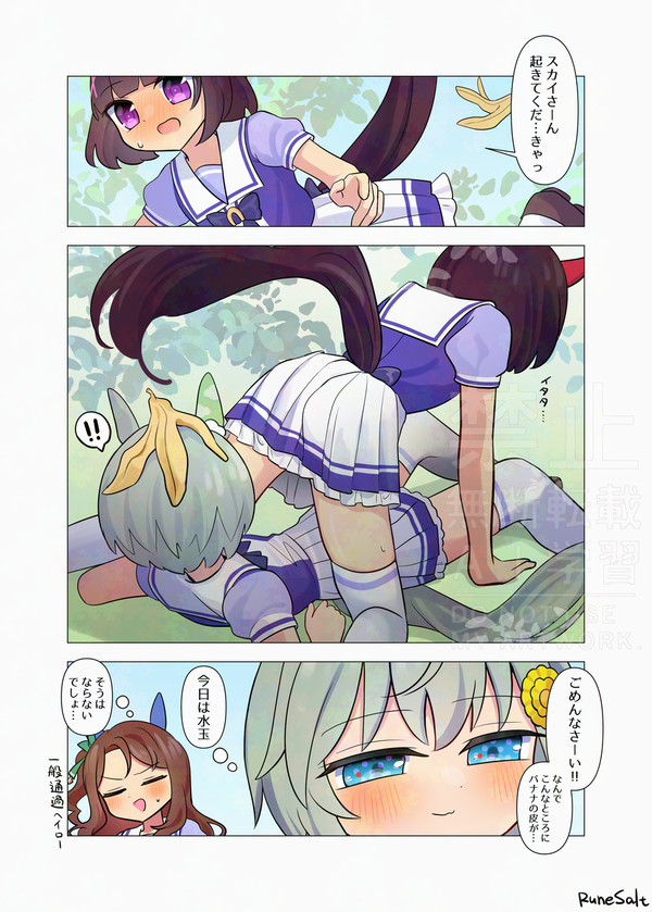 skebフラウンス