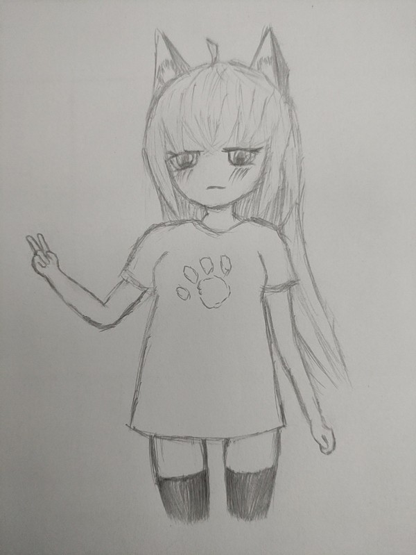 可爱的狐娘
