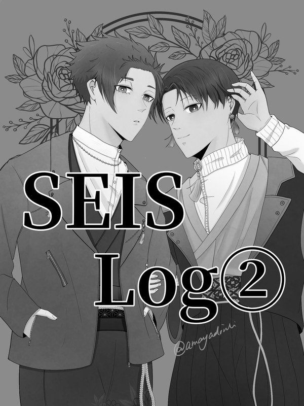 SEIS Log②