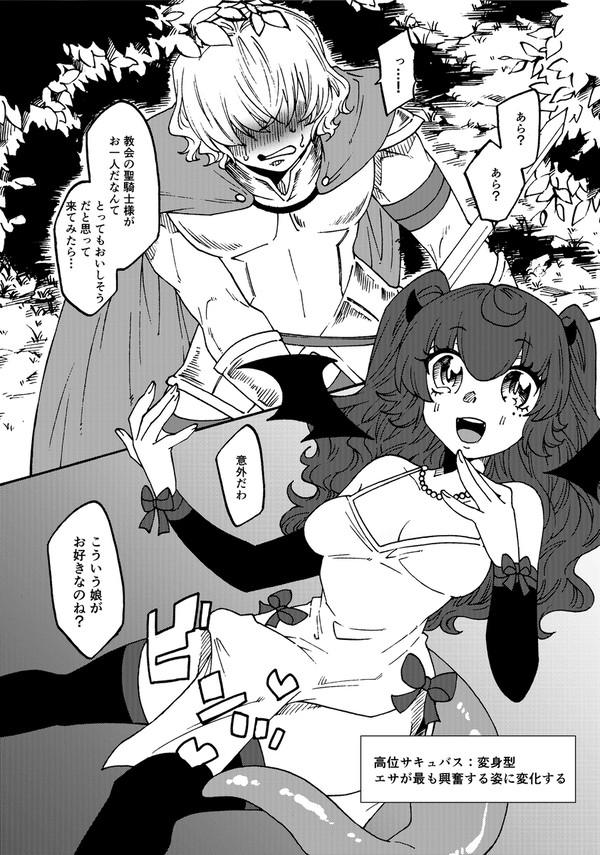 マゾ聖騎士様が優しいふたなりサキュバスちゃんに出会う話