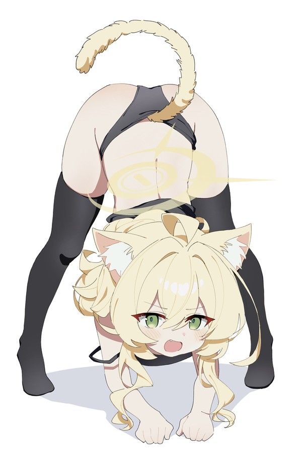 哈~