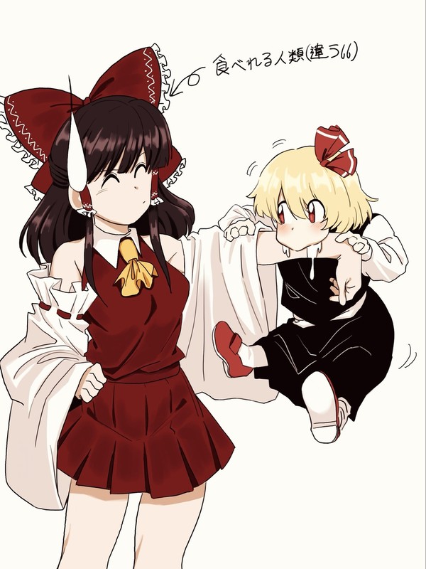 霊夢とルーミア