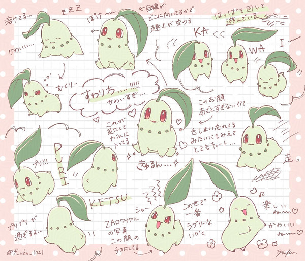 チコリータ詰め