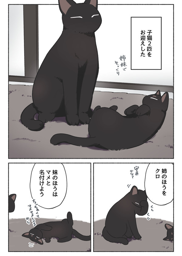 【単行本加筆ver】黒猫がおんなのこになったお話