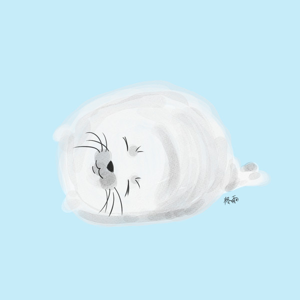 子あざらし