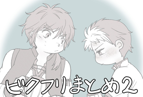 ビクフリまとめ2