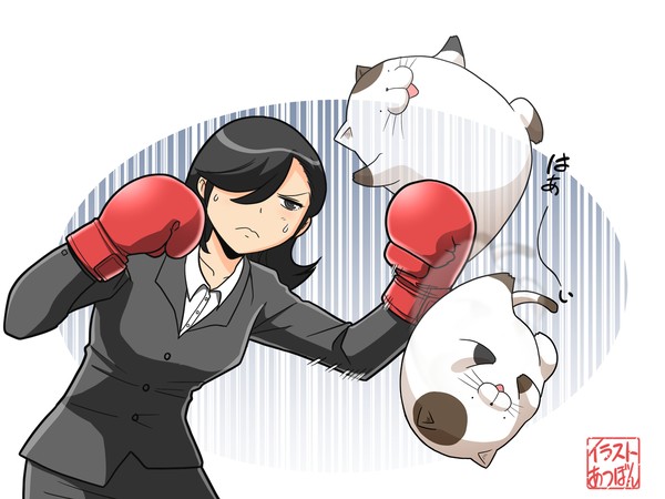 舞う猫