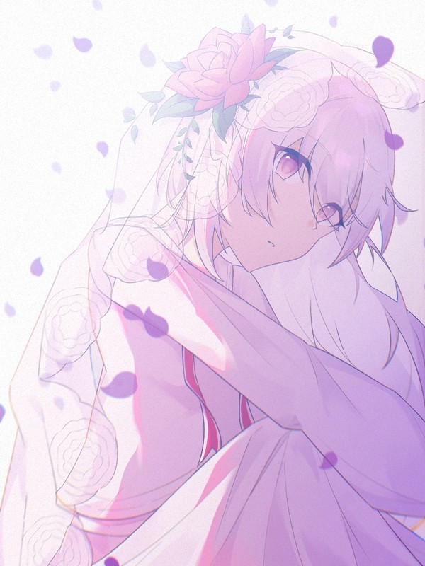 Hikari (zero)