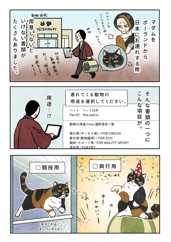 マダムの使用用途 - 1/2