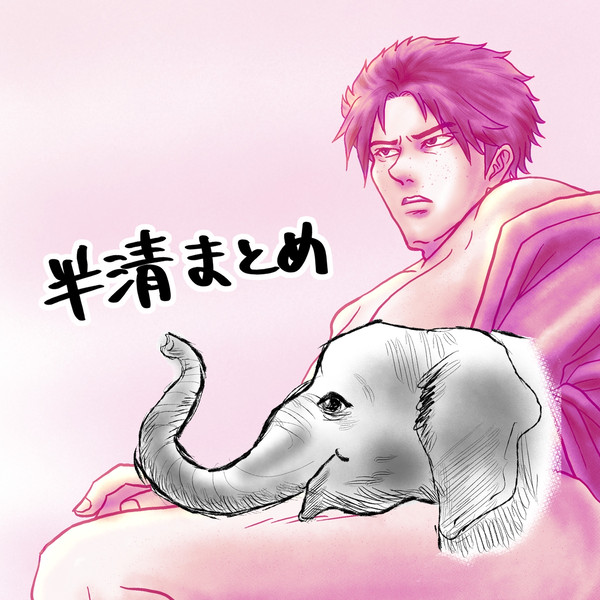 ほぼ半清まとめ