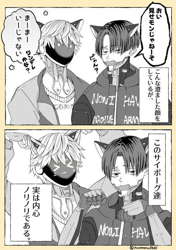 猫耳パーツを手に入れたマクカト