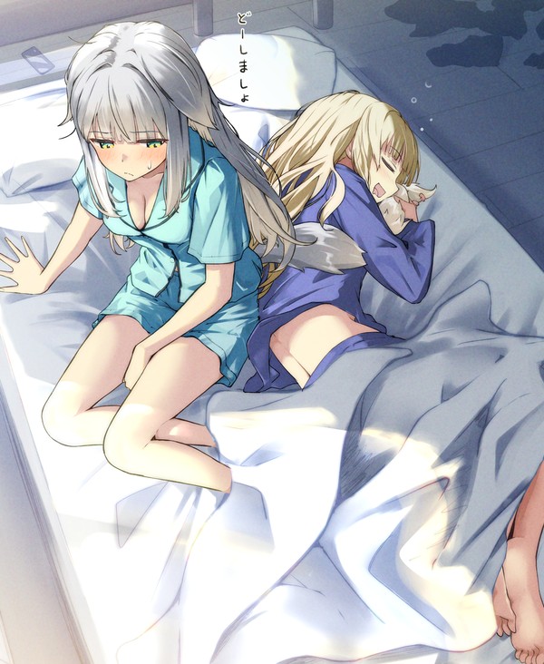ろこるりのあさ